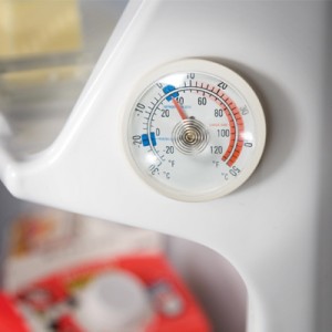 Fridge Thermometer