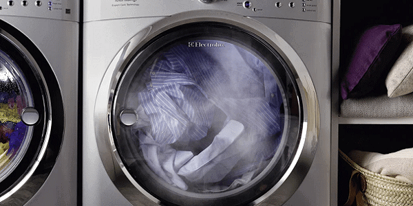 steam dryer pros and cons