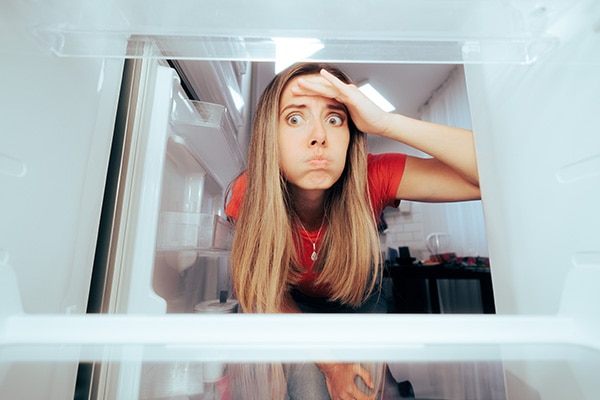 Refrigerator Won't Stop Running